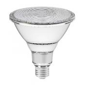  LPE LED PAR38 35 15W/4000K 