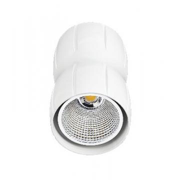  SUSP.CURVES LED 33W/3000K BLC 