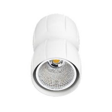  SUSP.CURVES LED 33W/4000K BLC 