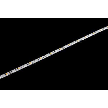  Bandeau Led 5m COOL LIGHT IP20 