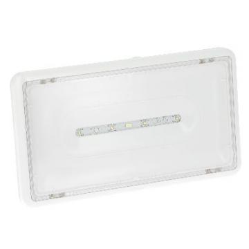  LSC EVAC LEDS IP43 24VDC 