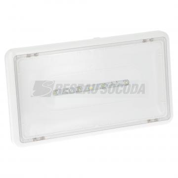  LSC EVAC LEDS IP43 24VDC 