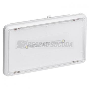  LSC EVAC LEDS IP43 24VDC 