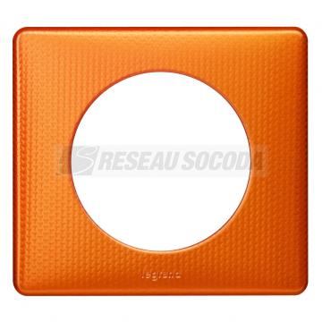  PLAQUE 1P ORANGE SNAKE 