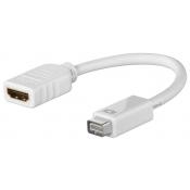  Adaptateur Mini-DVI M / HDMI F 