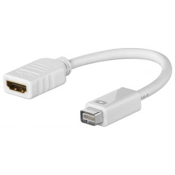  Adaptateur Mini-DVI M / HDMI F 