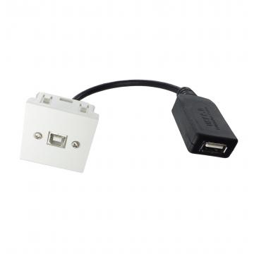  Plastron 45x45 USB2.0 B F vers 