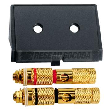  Adaptateur haut-parleurs 10mm 