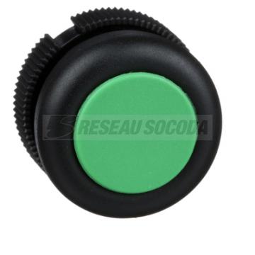  TETE RONDE POUR BOUTON PO 