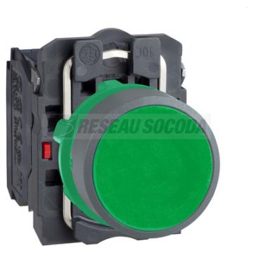  BP impulsion O22 vert 1O+1F 