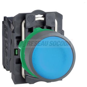  BP impulsion O22 bleu 1F 